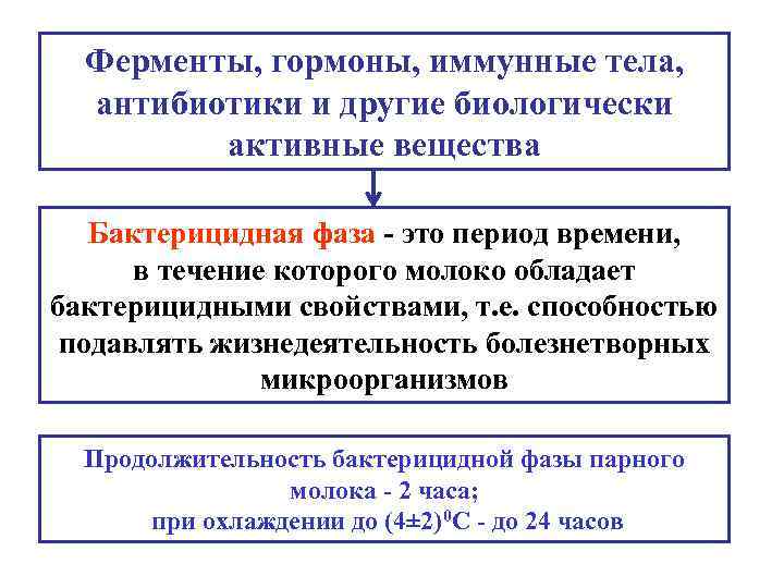 Ферменты, гормоны, иммунные тела, антибиотики и другие биологически активные вещества Бактерицидная фаза - это