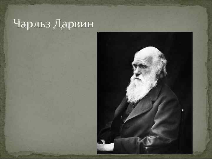 Чарльз Дарвин 