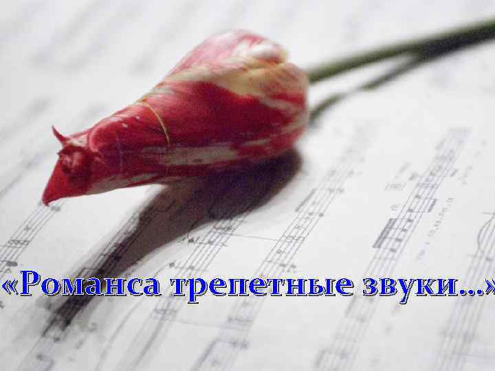  «Романса трепетные звуки…» 