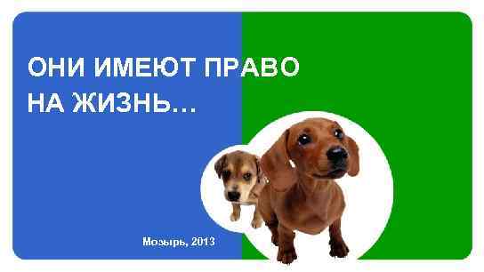 ОНИ ИМЕЮТ ПРАВО НА ЖИЗНЬ… Мозырь, 2013 