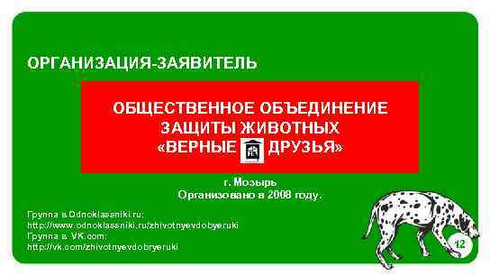 ОРГАНИЗАЦИЯ-ЗАЯВИТЕЛЬ ОБЩЕСТВЕННОЕ ОБЪЕДИНЕНИЕ ЗАЩИТЫ ЖИВОТНЫХ «ВЕРНЫЕ ДРУЗЬЯ» г. Мозырь Организовано в 2008 году. Группа