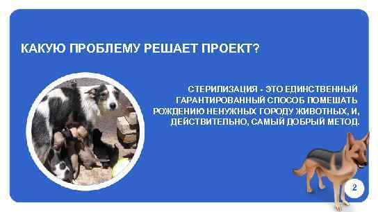 КАКУЮ ПРОБЛЕМУ РЕШАЕТ ПРОЕКТ? СТЕРИЛИЗАЦИЯ - ЭТО ЕДИНСТВЕННЫЙ ГАРАНТИРОВАННЫЙ СПОСОБ ПОМЕШАТЬ РОЖДЕНИЮ НЕНУЖНЫХ ГОРОДУ