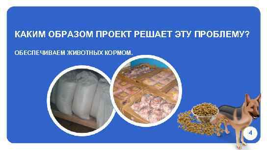 КАКИМ ОБРАЗОМ ПРОЕКТ РЕШАЕТ ЭТУ ПРОБЛЕМУ? ОБЕСПЕЧИВАЕМ ЖИВОТНЫХ КОРМОМ. 4 