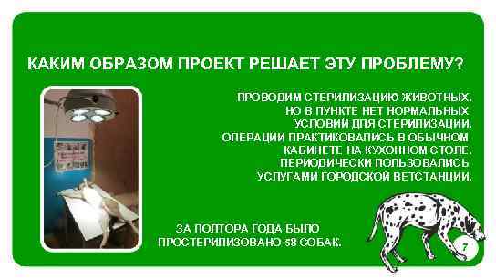 КАКИМ ОБРАЗОМ ПРОЕКТ РЕШАЕТ ЭТУ ПРОБЛЕМУ? ПРОВОДИМ СТЕРИЛИЗАЦИЮ ЖИВОТНЫХ. НО В ПУНКТЕ НЕТ НОРМАЛЬНЫХ