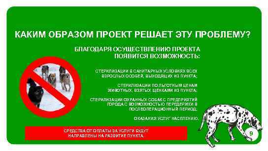 КАКИМ ОБРАЗОМ ПРОЕКТ РЕШАЕТ ЭТУ ПРОБЛЕМУ? БЛАГОДАРЯ ОСУЩЕСТВЛЕНИЮ ПРОЕКТА ПОЯВИТСЯ ВОЗМОЖНОСТЬ: СТЕРИЛИЗАЦИИ В САНИТАРНЫХ