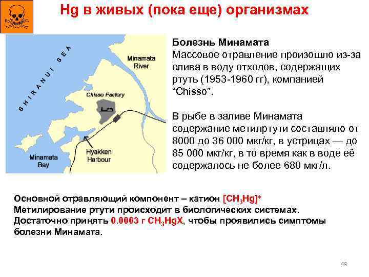 Hg в живых (пока еще) организмах Болезнь Минамата Массовое отравление произошло из-за слива в