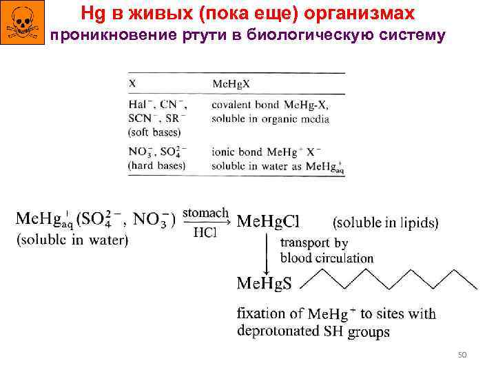 Hg в живых (пока еще) организмах проникновение ртути в биологическую систему 50 