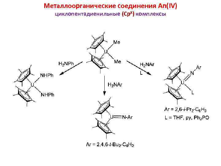 Металлоорганические соединения An(IV) циклопентадиенильные (Cp. X) комплексы 