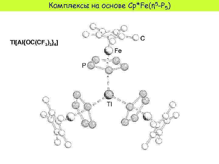 Комплексы на основе Cp*Fe(η 5 -P 5) Tl[Al{OC(CF 3)3}4] 