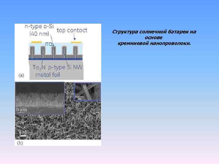 Структура солнечной батареи на основе кремниевой нанопроволоки. 
