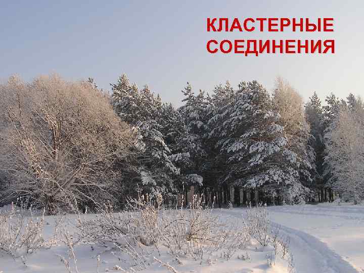 КЛАСТЕРНЫЕ СОЕДИНЕНИЯ 