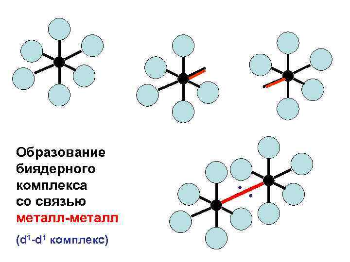 Образование биядерного комплекса со связью металл-металл (d 1 -d 1 комплекс) 