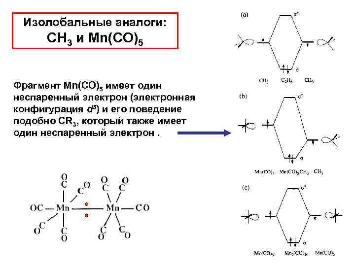 Изолобальные аналоги: CH 3 и Mn(CO)5 Фрагмент Mn(CO)5 имеет один неспаренный электрон (электронная конфигурация
