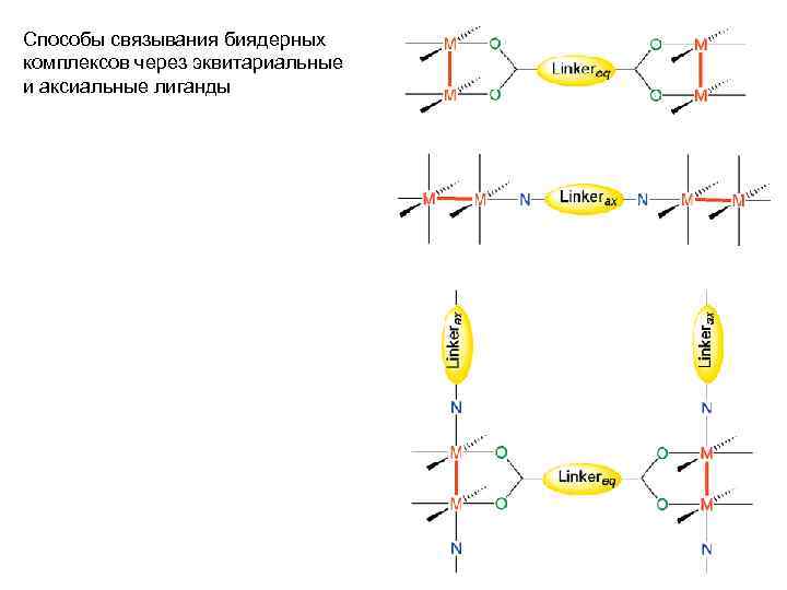 Способы связывания биядерных комплексов через эквитариальные и аксиальные лиганды 