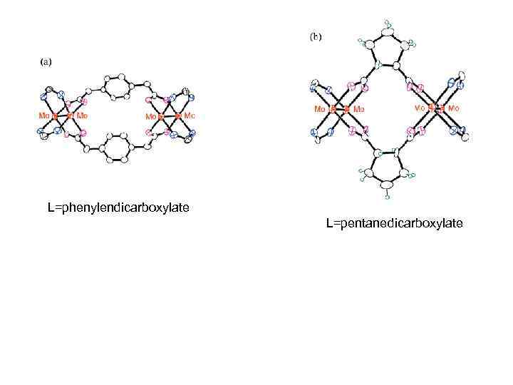 L=phenylendicarboxylate L=pentanedicarboxylate 