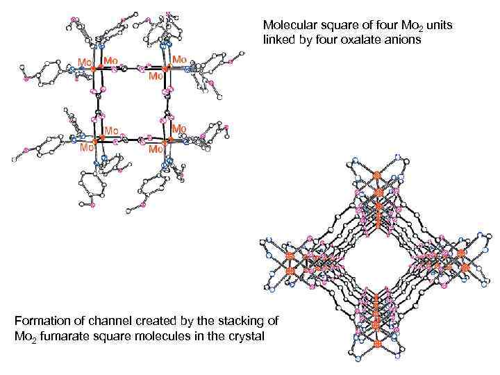 Molecular square of four Mo 2 units linked by four oxalate anions Formation of