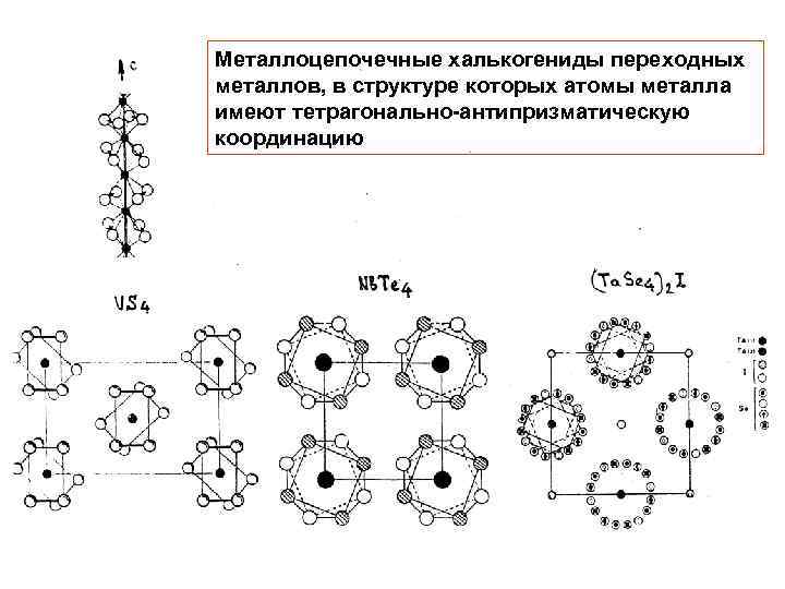 Металлоцепочечные халькогениды переходных металлов, в структуре которых атомы металла имеют тетрагонально-антипризматическую координацию 