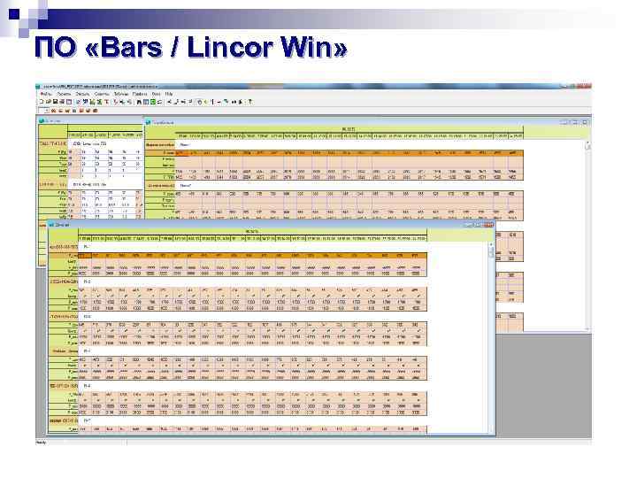 ПО «Bars / Lincor Win» 