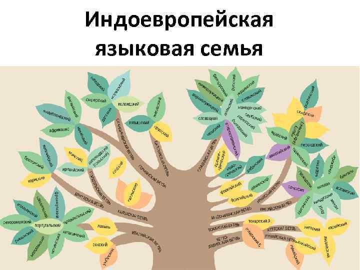 Индоевропейская языковая семья 