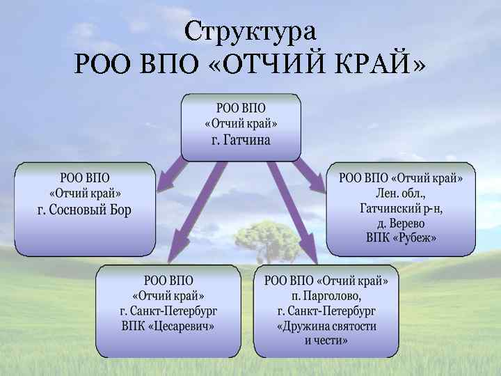 Структура РОО ВПО «ОТЧИЙ КРАЙ» 