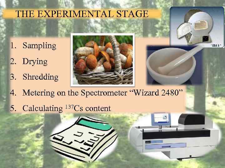 THE EXPERIMENTAL STAGE 1. Sampling 2. Drying 3. Shredding 4. Metering on the Spectrometer