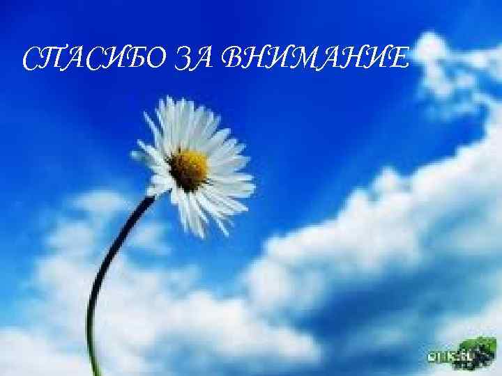 СПАСИБО ЗА ВНИМАНИЕ 