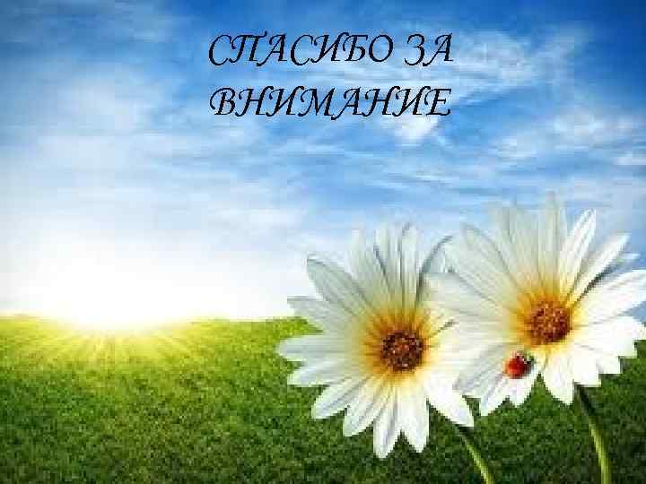 СПАСИБО ЗА ВНИМАНИЕ 