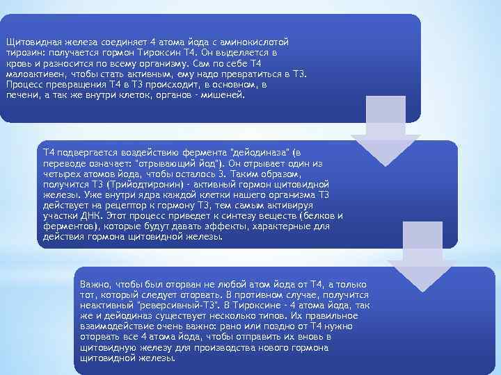 Щитовидная железа соединяет 4 атома йода с аминокислотой тирозин: получается гормон Тироксин Т 4.
