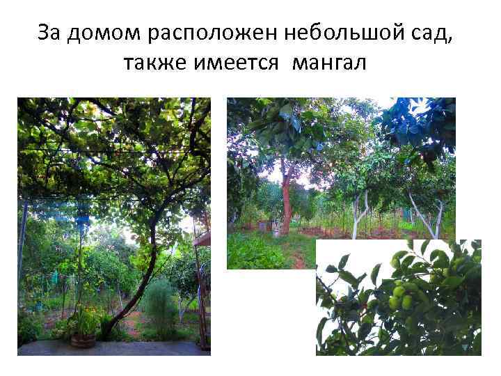 За домом расположен небольшой сад, также имеется мангал 