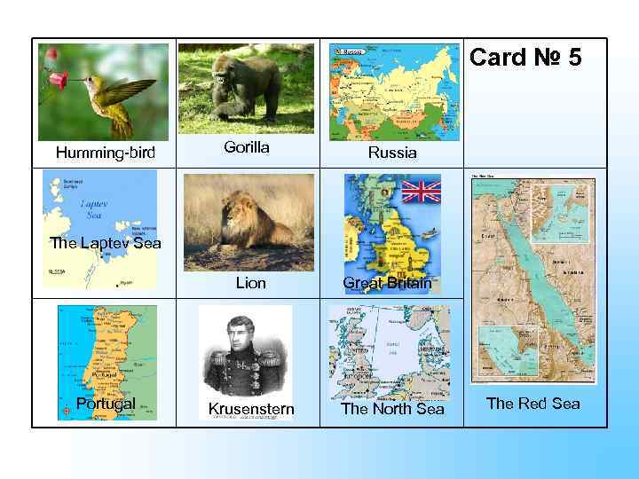 Card № 5 Humming-bird Gorilla Russia The Laptev Sea Lion Portugal Krusenstern Great Britain