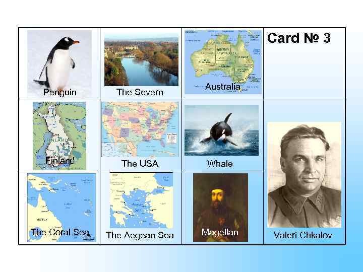 Card № 3 Australia Penguin The Severn Finland The USA Whale The Coral Sea