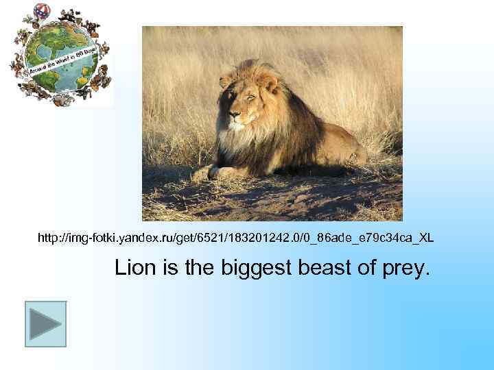 http: //img-fotki. yandex. ru/get/6521/183201242. 0/0_86 ade_e 79 c 34 ca_XL Lion is the biggest