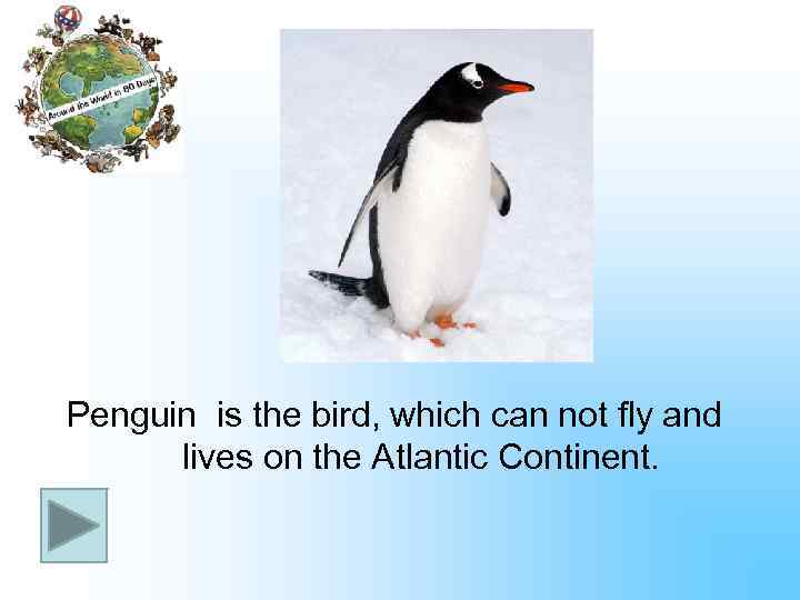 Penguin is the bird, which can not fly and lives on the Atlantic Continent.