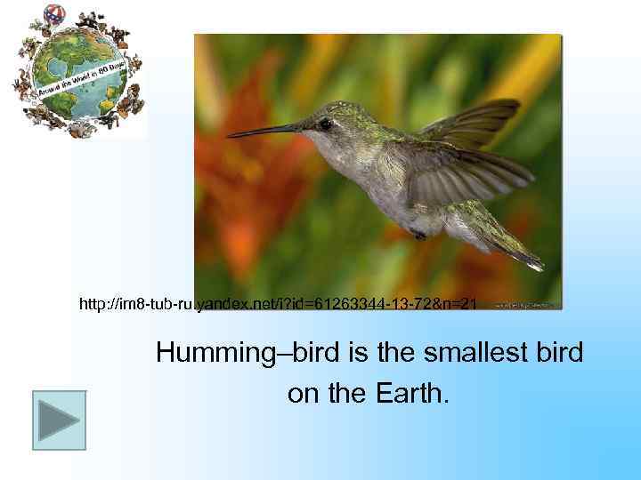 http: //im 8 -tub-ru. yandex. net/i? id=61263344 -13 -72&n=21 Humming–bird is the smallest bird