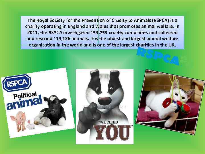 The Royal Society for the Prevention of Cruelty to Animals (RSPCA) is a charity