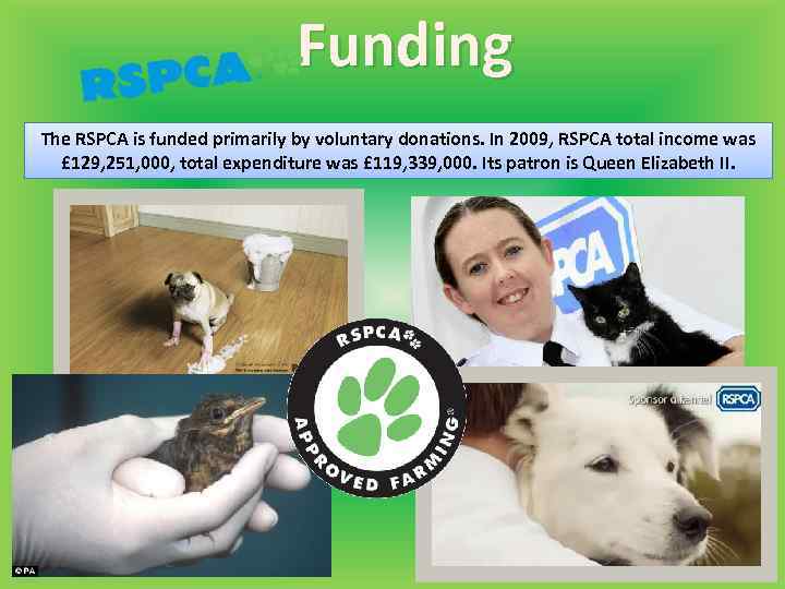 Funding The RSPCA is funded primarily by voluntary donations. In 2009, RSPCA total income