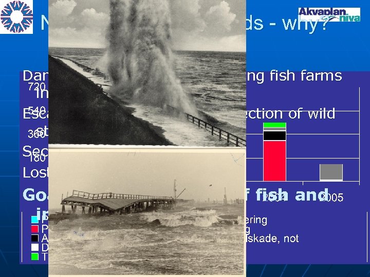 New technical standards - why? Challenge Damage and wreckage in floating fish farms in