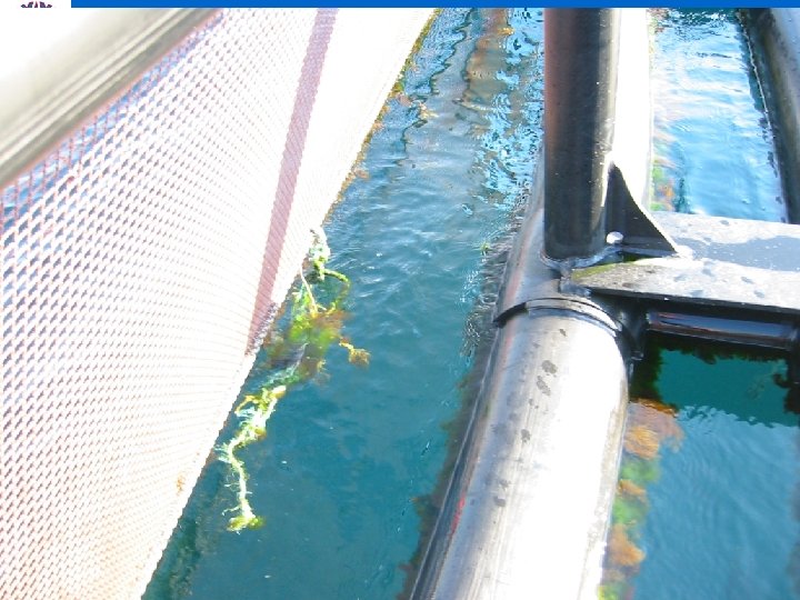 Inspection and deviations – step IV Visiting the farm and inspect equipment • •