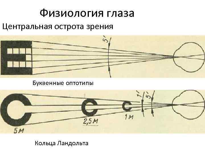 Физиология глаза Центральная острота зрения Буквенные оптотипы Кольца Ландольта 