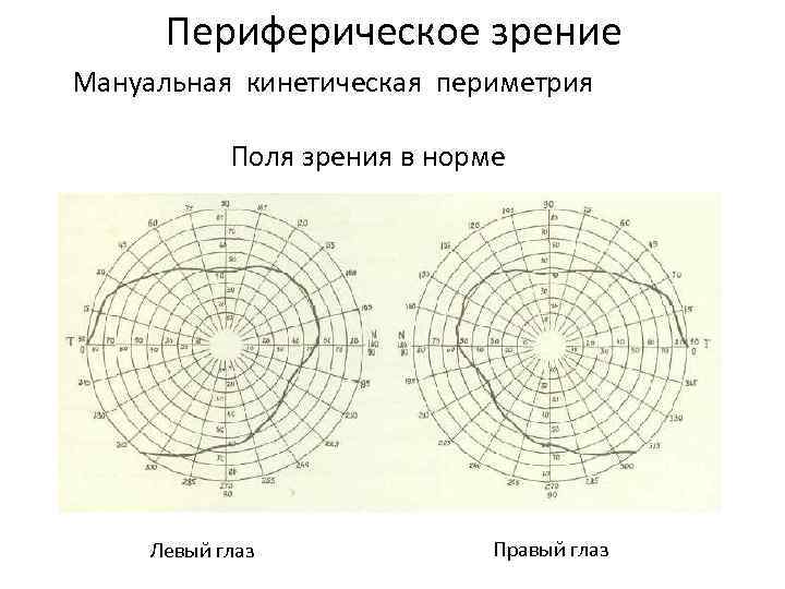 Периферическое зрение Мануальная кинетическая периметрия Поля зрения в норме Левый глаз Правый глаз 