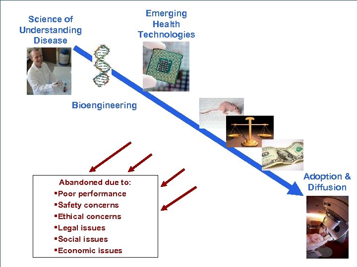 Emerging Health Technologies Science of Understanding Disease Bioengineering Preclinical Testing Ethics of Research Clinical