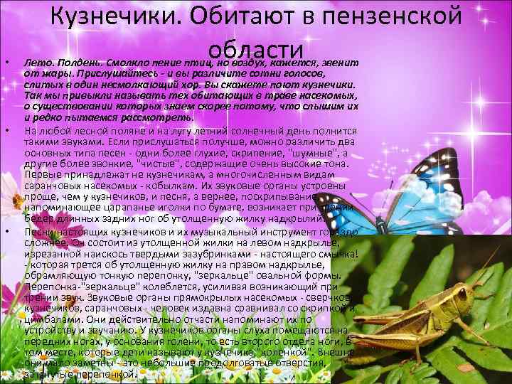  • • • Кузнечики. Обитают в пензенской области Лето. Полдень. Смолкло пение птиц,