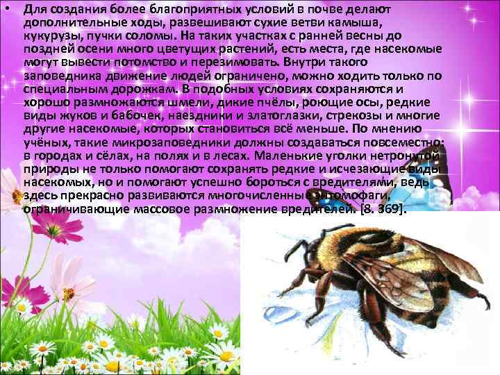  • Для создания более благоприятных условий в почве делают дополнительные ходы, развешивают сухие