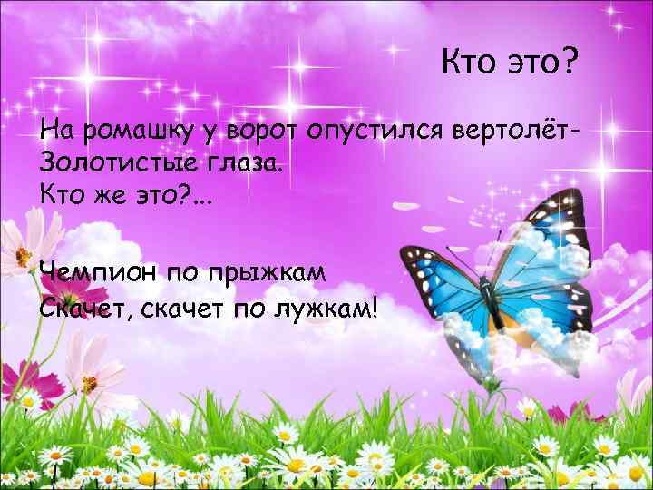 Кто это? На ромашку у ворот опустился вертолёт. Золотистые глаза. Кто же это? .