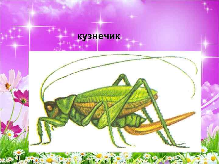 кузнечик 