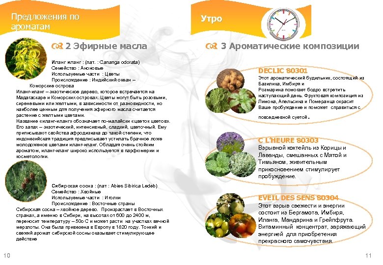 Предложения по ароматам d 2 Эфирные масла Иланг иланг : (лат. : Cananga odorata)