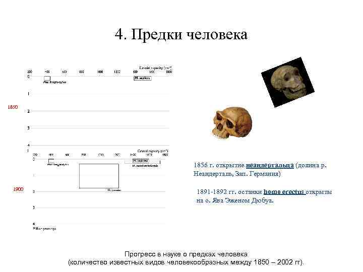 4. Предки человека 1850 1856 г. открытие неандертальца (долина р. Неандерталь, Зап. Германия) 1900