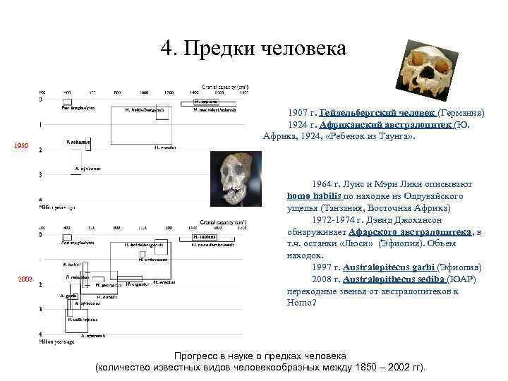 4. Предки человека 1907 г. Гейдельбергский человек (Германия) 1924 г. Африканский австралопитек (Ю. Африка,