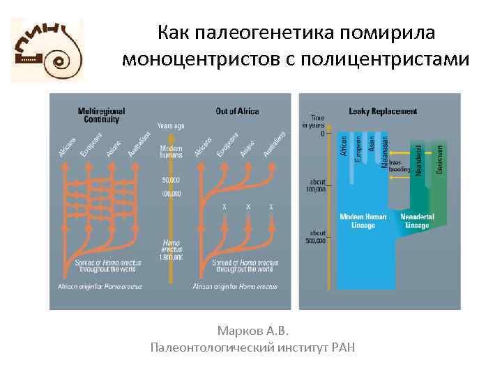 Как палеогенетика помирила моноцентристов с полицентристами Марков А. В. Палеонтологический институт РАН 