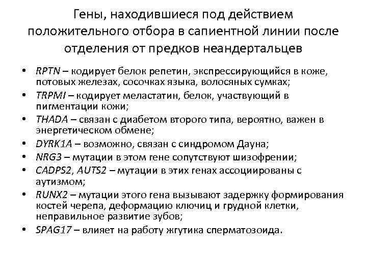 Гены, находившиеся под действием положительного отбора в сапиентной линии после отделения от предков неандертальцев